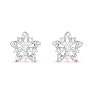 AV Lotus Bloom